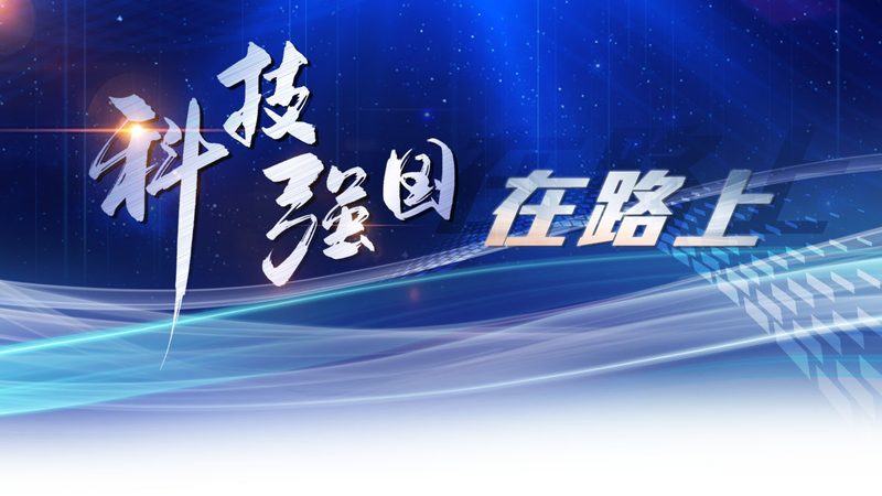 数据服务安装标准：关键要素与实施要点